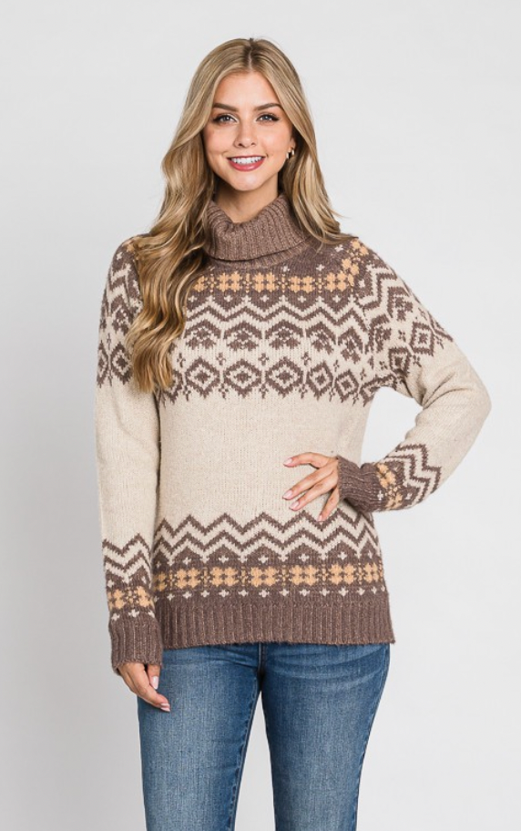 Brown Turtle Sweater